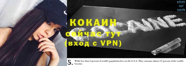 молекула духа Майский