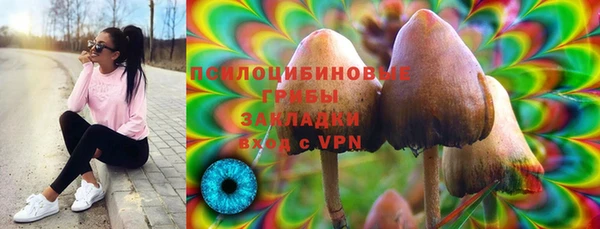прущий лед Магас