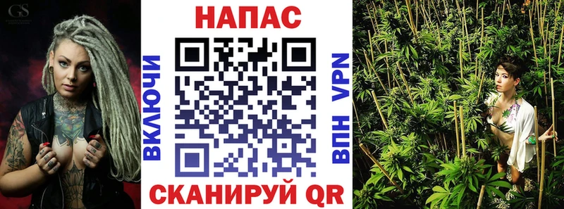 Бошки марихуана ГИДРОПОН  как найти закладки  Петровск-Забайкальский 
